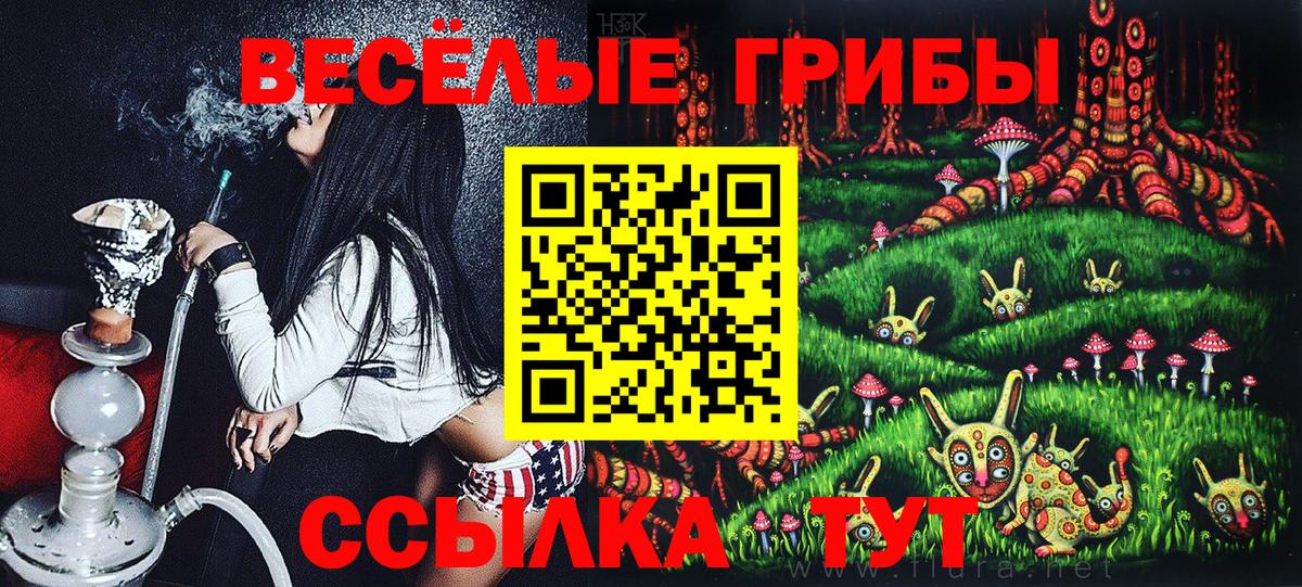 Ейск  Галлюциногенные грибы MAGIC MUSHROOMS  Псилоцибиновые грибы Magic Shrooms  Вход с VPN 